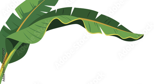 Green Banana Leaves Illustration