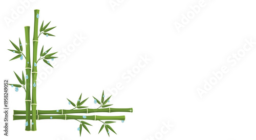 Green bamboo stalks with water drops, natural border design