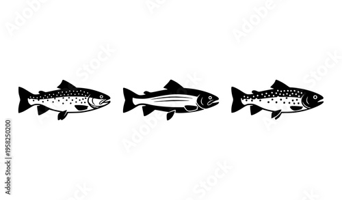 Three Trout Fish Species Icon Set Brown Rainbow and Brook Trout Black Vector Silhouettes Isolated on White Background