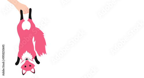 Pink Fox Held Upside Down by Hand