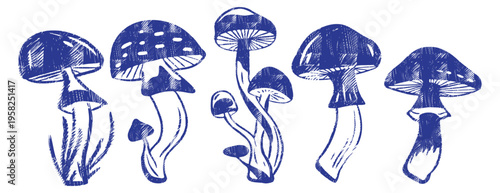 Indigo mushroom set in grunge minimal art. Handmade crayon, charcoal and ink texture. Naive linocut fungi for forest nature design. Vector woodcut illustrations of wild magic toadstools.