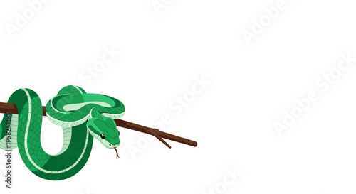 Vibrant Green Snake Coiled on Branch