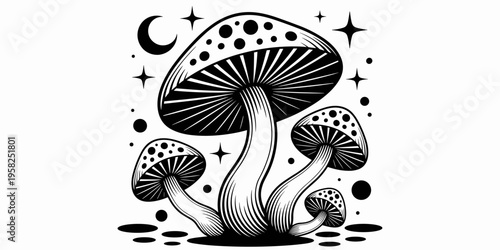 Enchanting celestial mushroom illustration featuring magical fungi with starry night sky elements moon and glowing dots in a whimsical black and white ink drawing style suitable for mystical art print