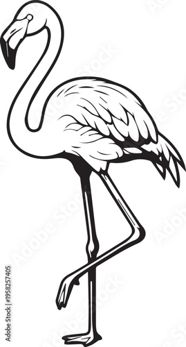 Black and white line art flamingo standing isolated on white background
