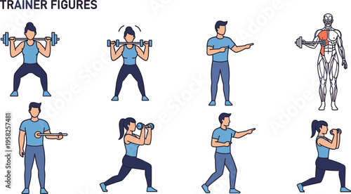 Fitness trainer figures and workout poses set featuring exercise movements strength training anatomy guidance and coaching vector illustration