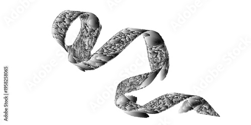 A black and white cobra reptile isolated on a white background in a studio setting creates a sleek metal look for this wild nature animal