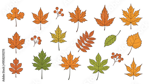 Large collection of diverse autumn leaves and berries including maple, oak, and rowan in various shades of orange, red, and green.