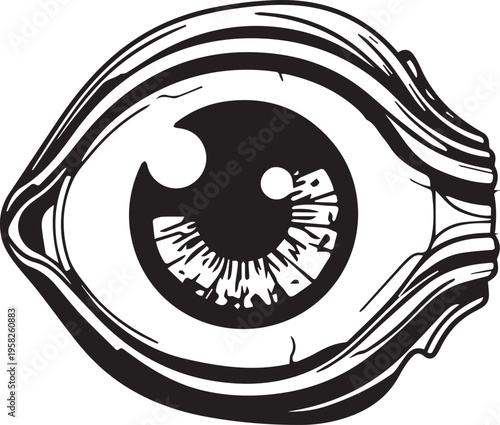 detailed human eye anatomy icon in bold black outline on white background
