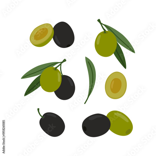 Olive set with black and green olives with green leaves. Mediterranean food great for culinary and health projects. Flat vector illustration.