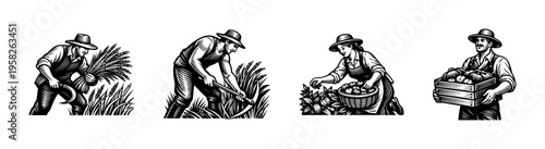 Black and white vector illustration of farmers harvesting crops with agricultural elements