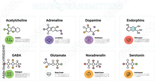 Neurotransmitters Infographic Chart with Chemical Structures of Dopamine Serotonin Adrenaline GABA and Brain Chemistry Elements