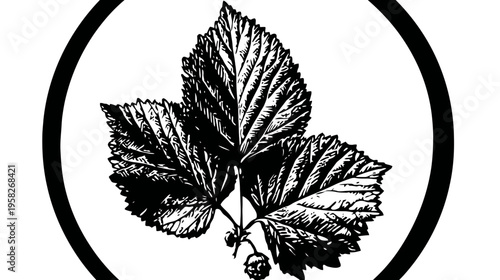 Stylized black and white illustration of three leaves and buds enclosed within a black circle