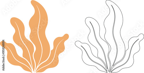 Seaweed silhouettes orange and black lines