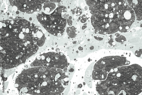 High-Resolution Microscopic Image Showcasing Complex Organic Material Structure with Various Patterns and Textures