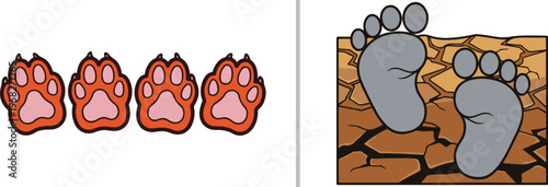 A vector graphic showing a row of four orange and pink paw prints on the left, and two grey footprints walking across a cracked, dry desert ground texture on the right.