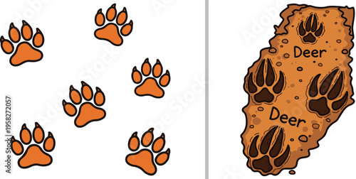Vector illustration comparing animal tracks. The left side features orange canine paw prints; the right shows deer hoof prints embedded in a brown, textured soil patch with "Deer" labels.