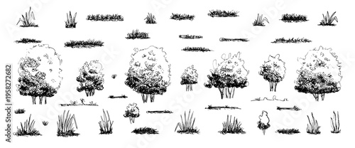 Tree, bushes and grass sketch line art. Ink brush black park elements illustration. Vintage forest shrubs, ink landscape vector shapes. Garden bushes silhouette isolated on white bg.
