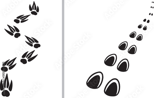 Vector illustration displaying two paths of animal tracks: on the left, a series of sharp-clawed paw prints; on the right, a trail of cloven hoof prints retreating into the distance.