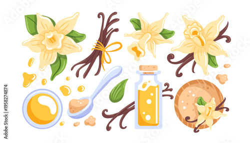 Vanilla flower. Sugar spice. Culinary aromatic extract. Flavoring for kitchen. Indian organic nature. Cute taste. Doodle sticker. Flavoring and aromatic food Vector pod cartoon isolated illustration