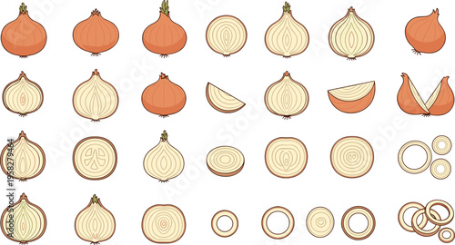 Set of Onion Illustrations with Whole Bulbs, Halves, Slices, and Rings in Flat Vector Style for Cooking, Food Design, and Ingredient Infographics