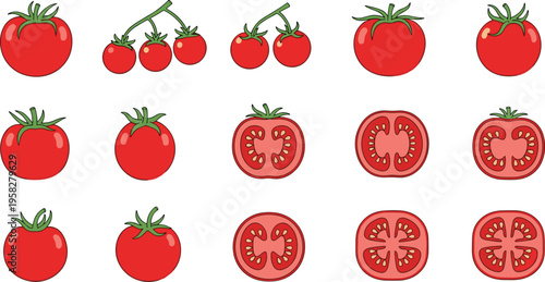 Tomato Vector Illustration Set with Whole Fruits, Cherry Clusters, and Sliced Cross Sections in Flat Style for Food Design, Cooking Graphics, and Ingredient Icons