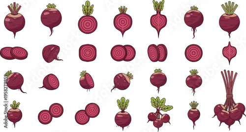 Beetroot Seamless Pattern Vector with Whole and Sliced Beets, Red Root Vegetable Background for Organic Food Design, Cooking Graphics, and Kitchen Decor Illustration