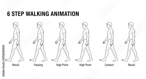 Human walking animation sequence in 6 steps illustrating stages of motion