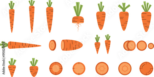 Carrot Vegetable Vector Set with Whole Roots, Cut Slices, and Different Shapes Featuring Fresh Organic Produce for Healthy Food and Cooking Design