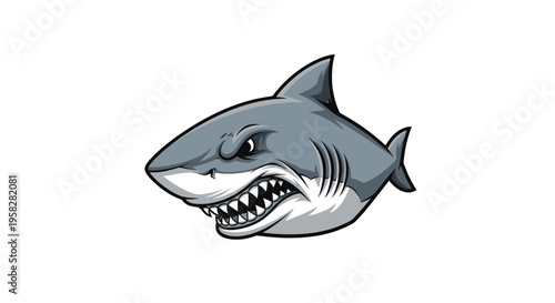 Aggressive Great White Shark Head Illustration