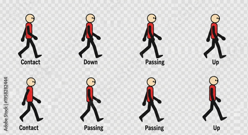 Animated character walking in various positions contact down passing up on transparent background