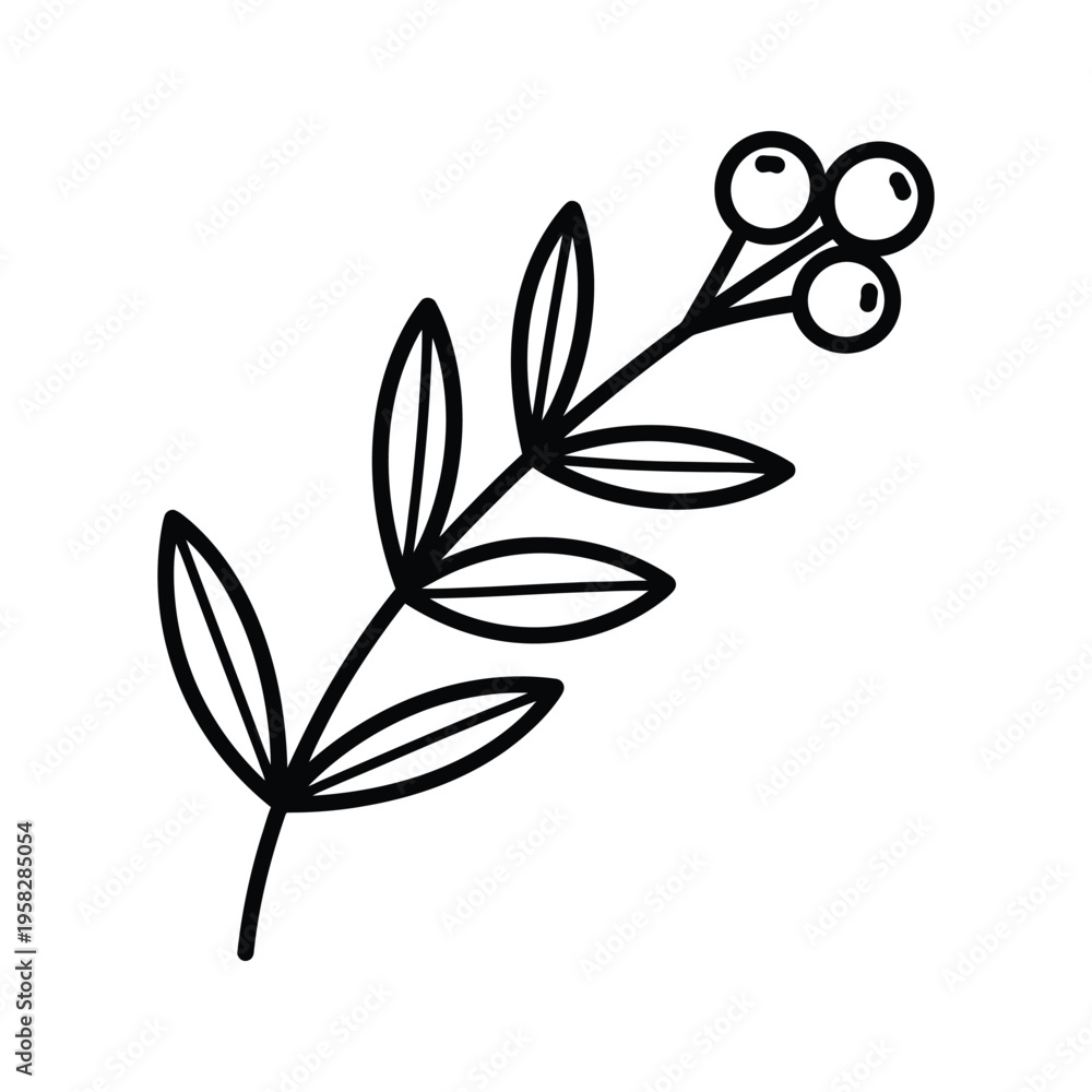 Obraz premium Berry Branch Outline Design Element