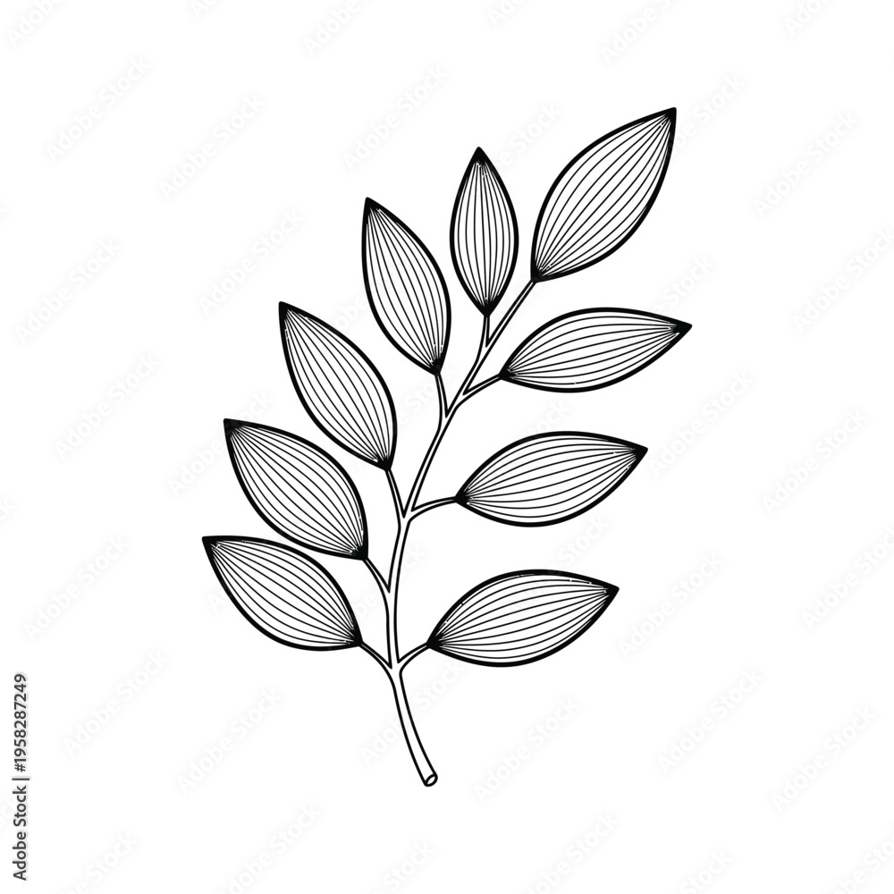Obraz premium Leaf Branch Illustration Organic Growth Commercial Design