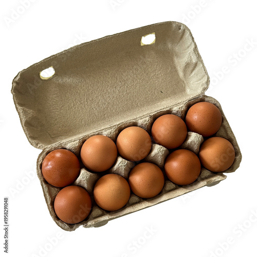 Brown Eggs in Open Cardboard Carton on White Background