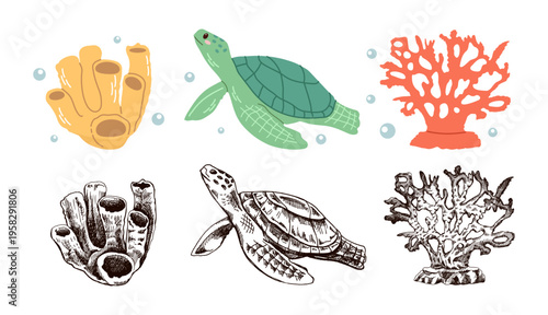 Cute hand drawn marine turtle coral sponge set in flat and vintage line style ocean aquatic vector illustration