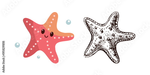 Cute hand drawn marine starfish in flat and vintage line style ocean aquatic animal vector illustration underwater