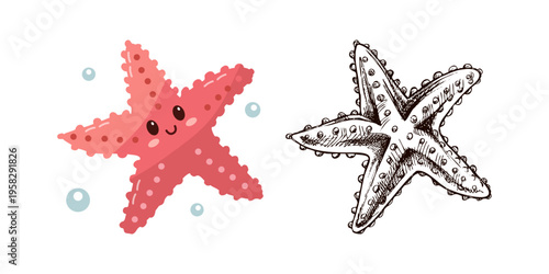 Cute hand drawn marine starfish in flat and vintage line style ocean aquatic animal vector illustration underwater