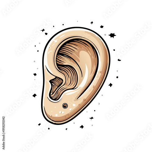 Illustration of a human ear with detailed inner folds and a piercing stud