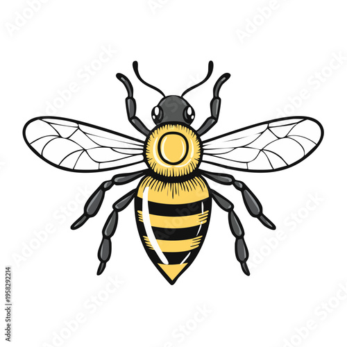 Stylized illustration of a honeybee with yellow and black stripes and transparent wings