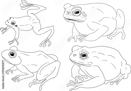 Hand drawn illustration set in a dark plague doctor theme, medieval medicine, anatomy, and occult aesthetics. Vintage line style, black and white line art, suitable for gothic, historical, and dark fa