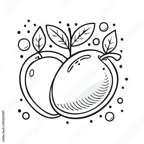 Two ripe plums with leaves and bubbles hand drawn outline illustration black and white graphic