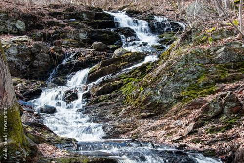 Obraz na plátne cascading water  in the woods of barrett park