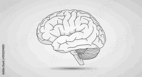 Conceptual brain illustration isolated vector depicting thought and mind