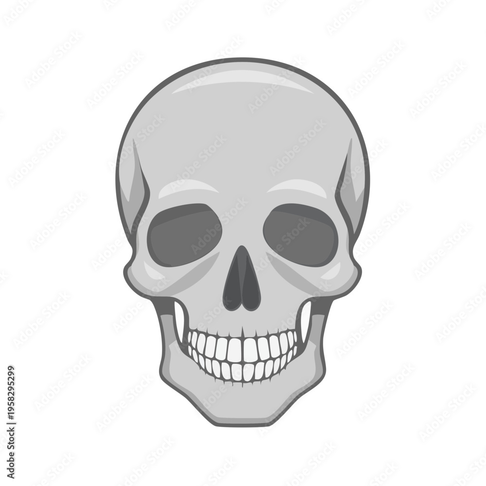 Fototapeta premium Frontal view of a human skull illustration in grayscale for conceptual design