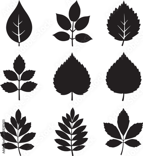 Leaves vector set