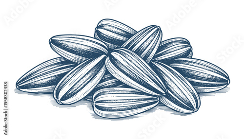 Sunflower seeds pile illustration vector, detailed drawing, natural food, healthy snack design