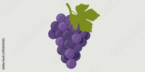 A vibrant purple grape cluster with a single detailed green leaf on a light grey background, representing fresh organic fruit produce for healthy lifestyle advertising, culinary design, food or bevera