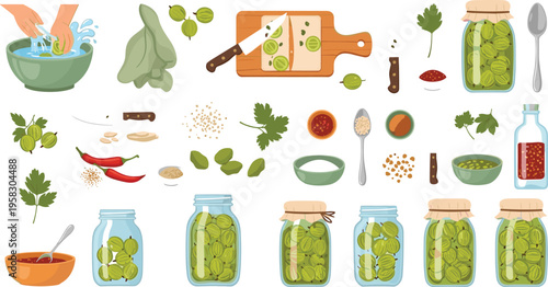 Pickled cucumber making process vector set with slicing, spices and jars, homemade preservation steps collection isolated on white background illustration