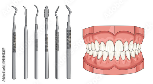 Six silver dental tools and one pink jaw model with white teeth are neatly arranged on a light pinkish-white background.