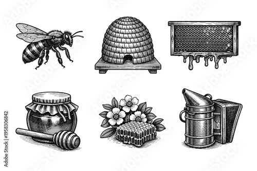 Vintage engraved honey and beekeeping collection in black and white botanical illustration style