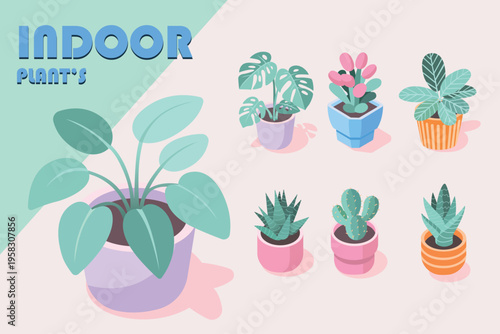 Indoor plants collection various potted houseplants for home and office decoration